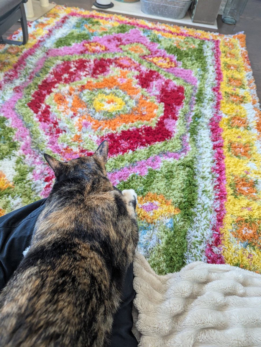 Tristan Ross 😺❄️ tweet media