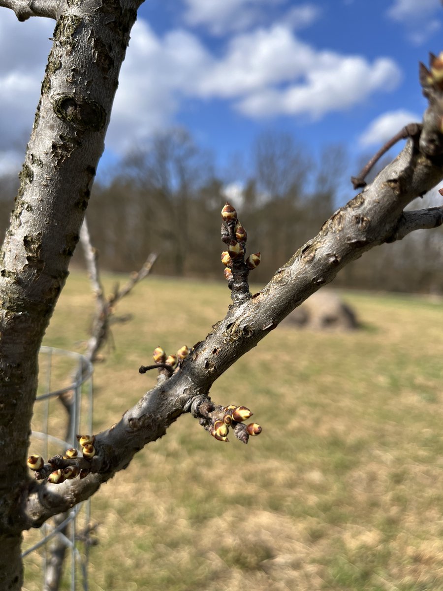 David Ježek 🚜 tweet media