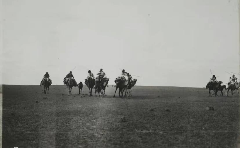 نادر بن عبار tweet media