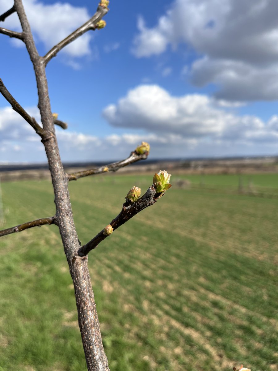David Ježek 🚜 tweet media