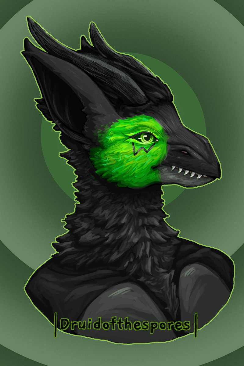 Druid 🍄🌿(CommisionsOpen) tweet media