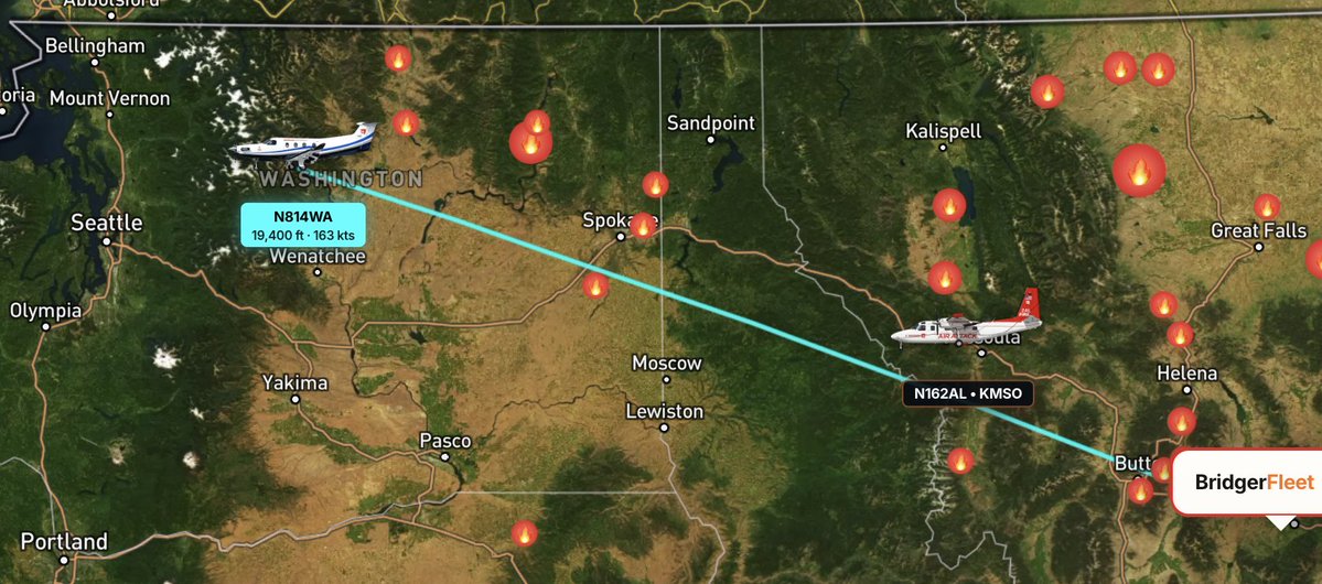 Ben Deveran tweet media