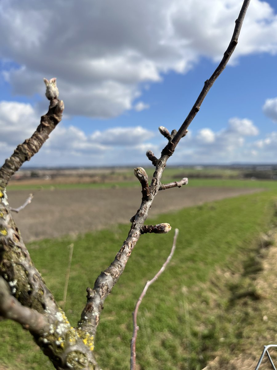 David Ježek 🚜 tweet media