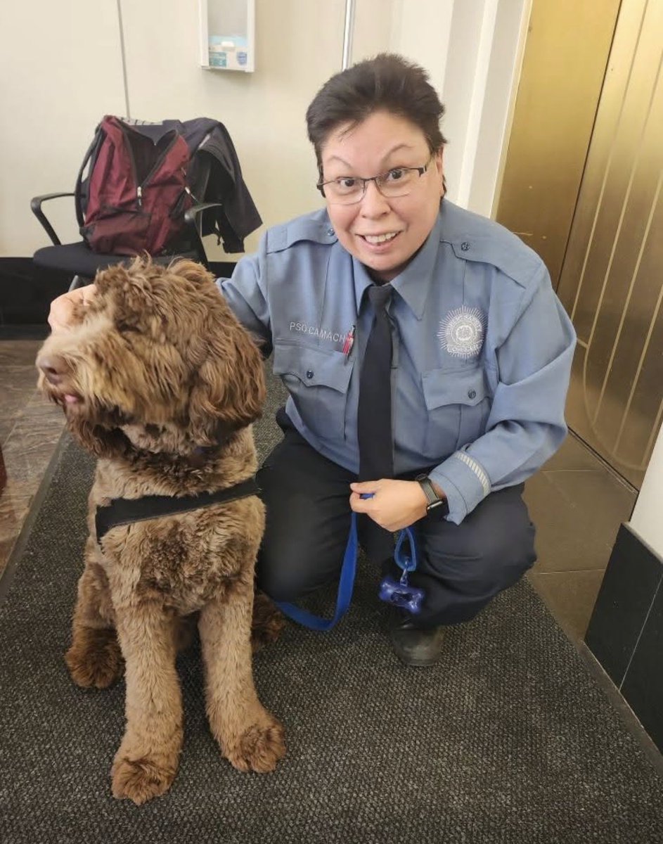 Hofstra Public Safety tweet media