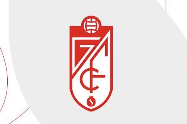 GRADA B pro tweet media