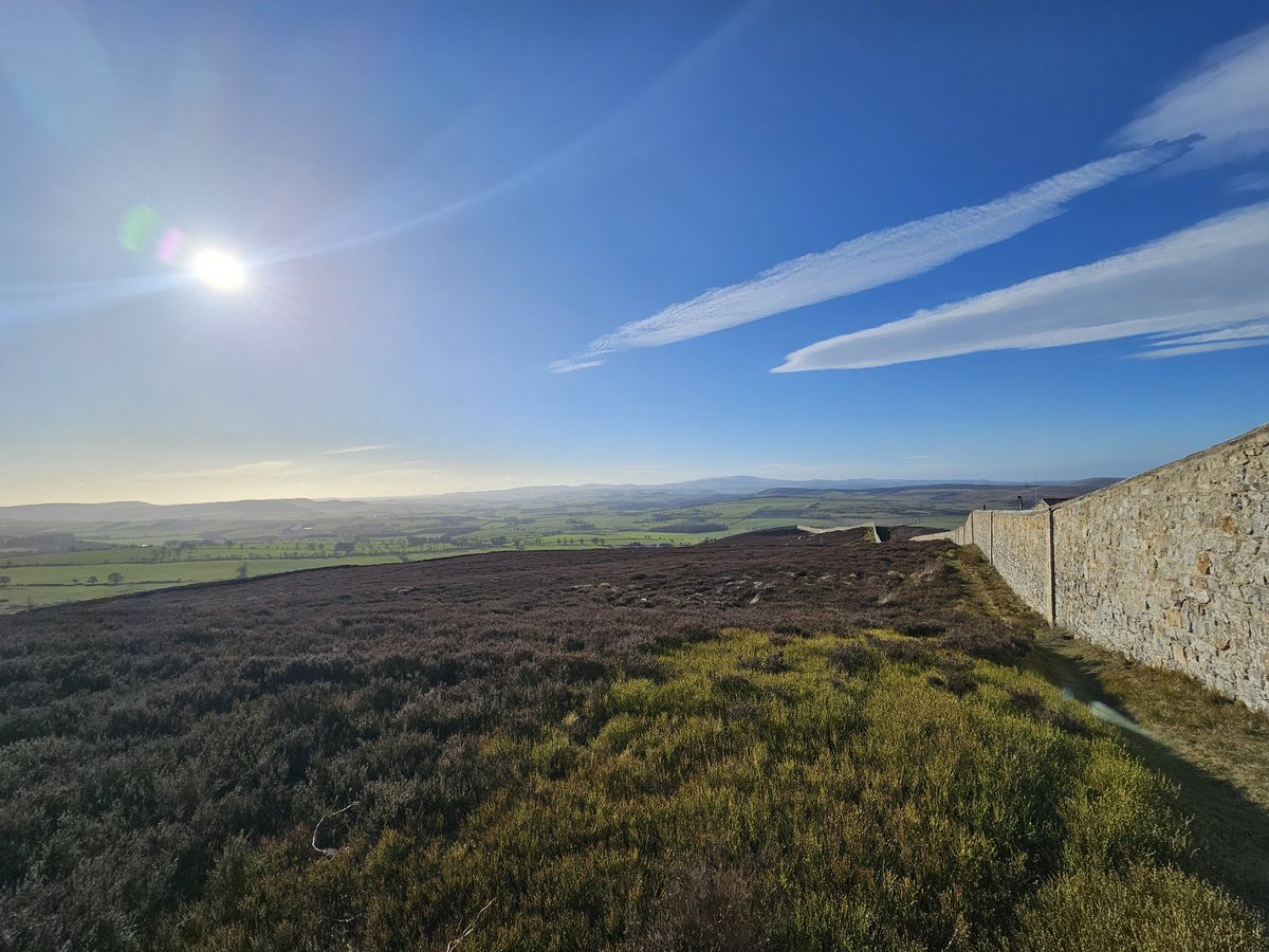 Cáit Rua tweet media