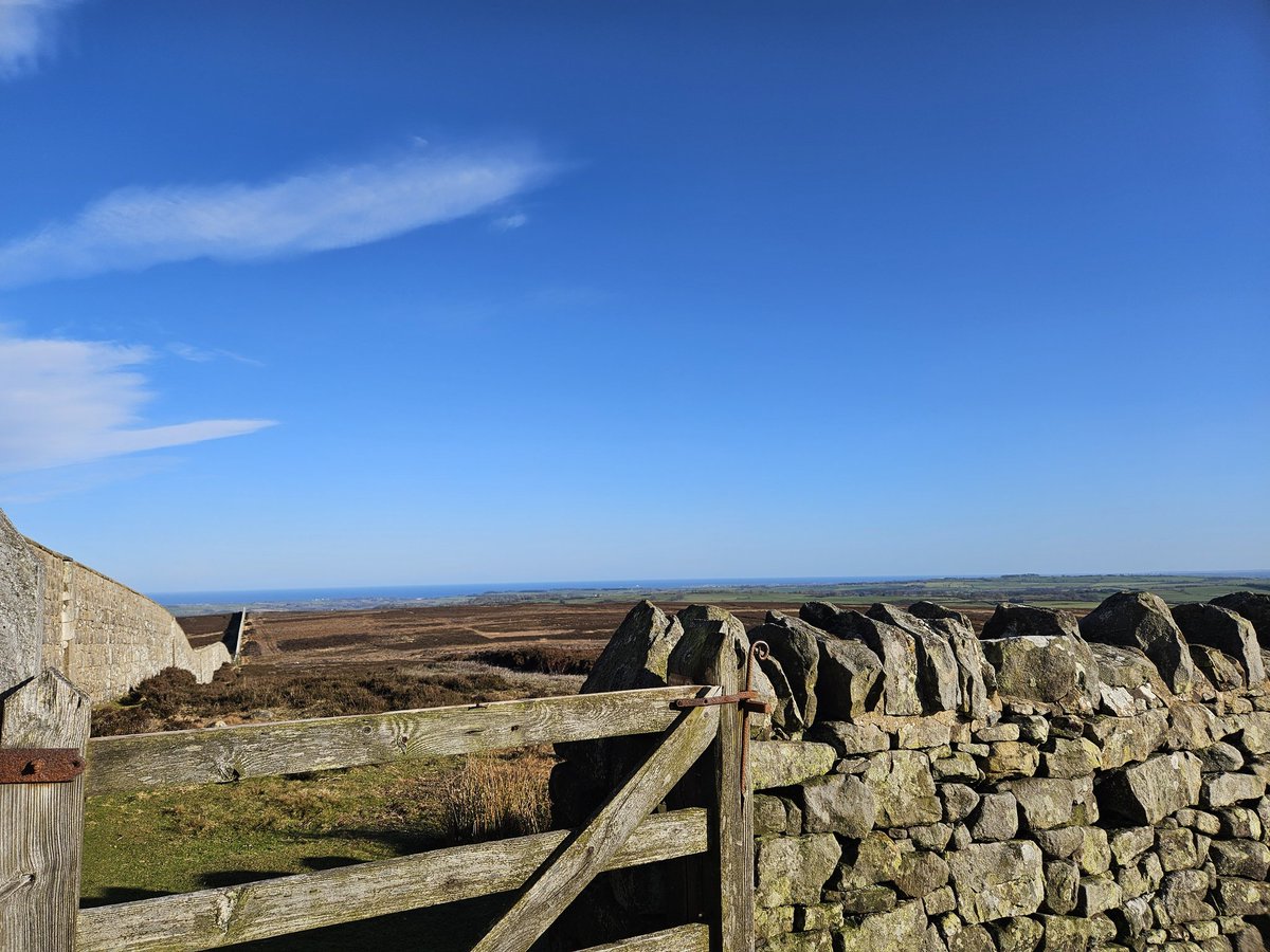 Cáit Rua tweet media