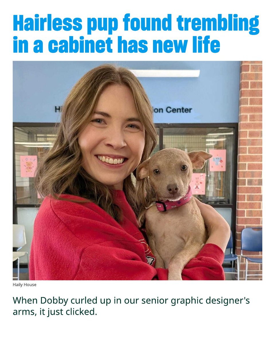 Humane World for Animals tweet media