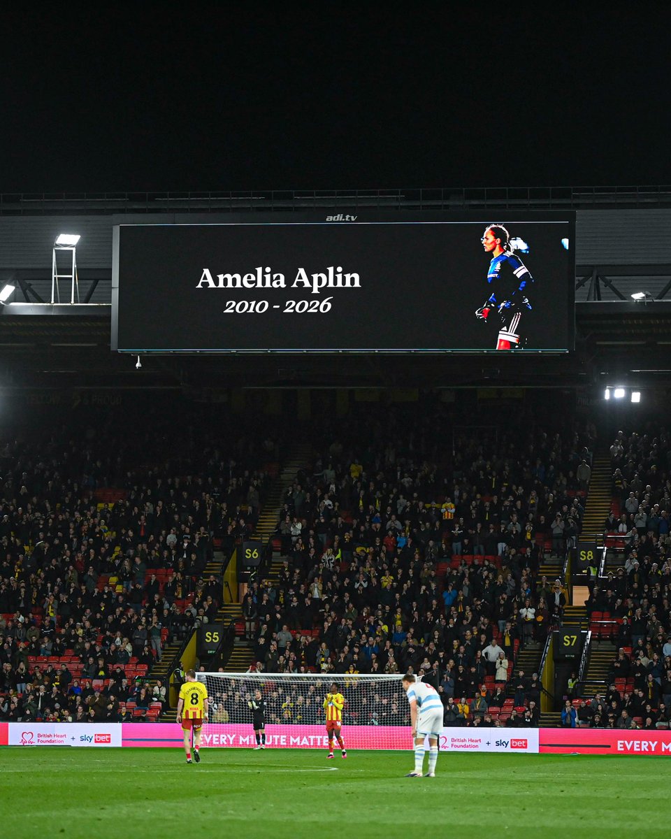 Watford Football Club tweet media