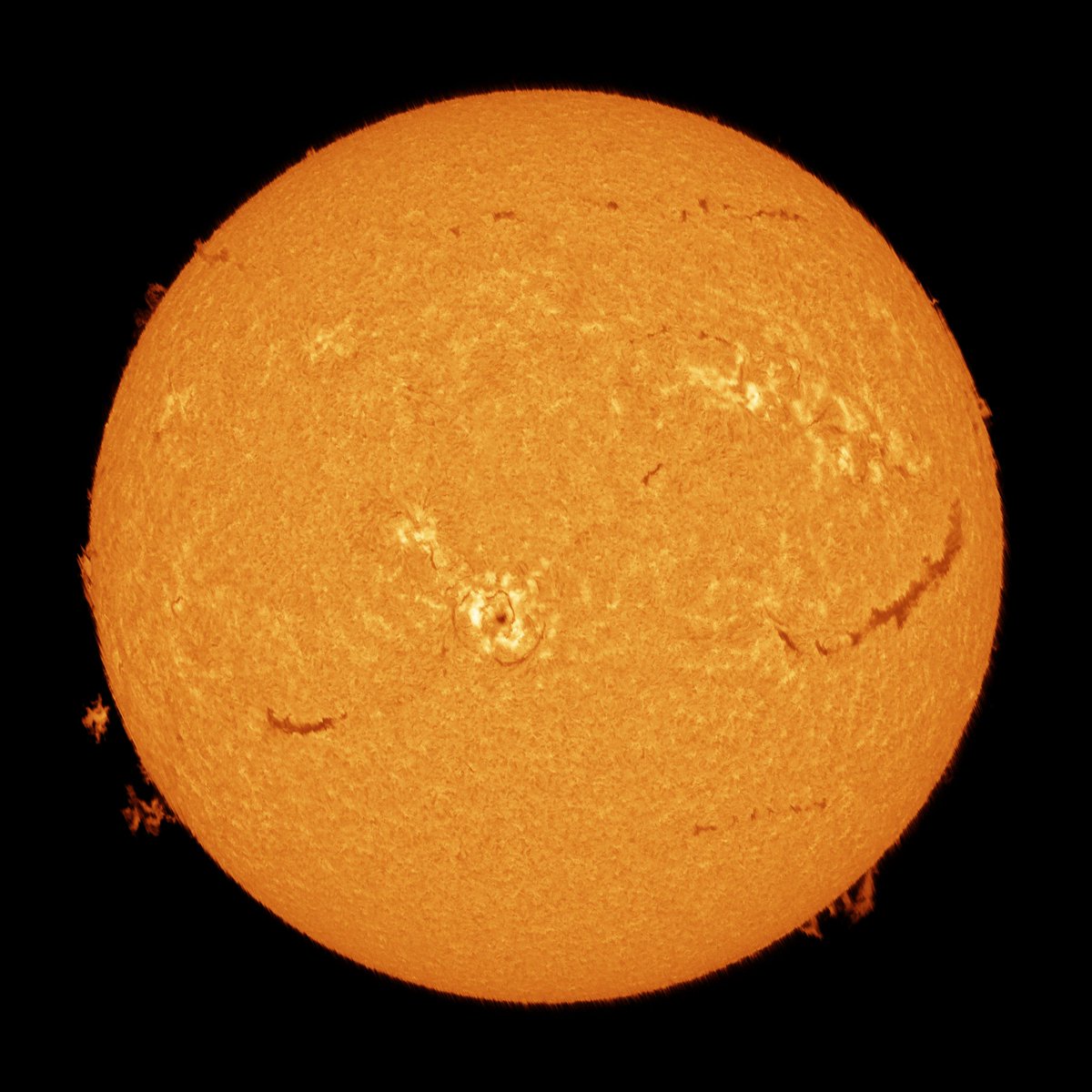 Mario 🪐🌒🌞🌌🔭🐸 tweet media