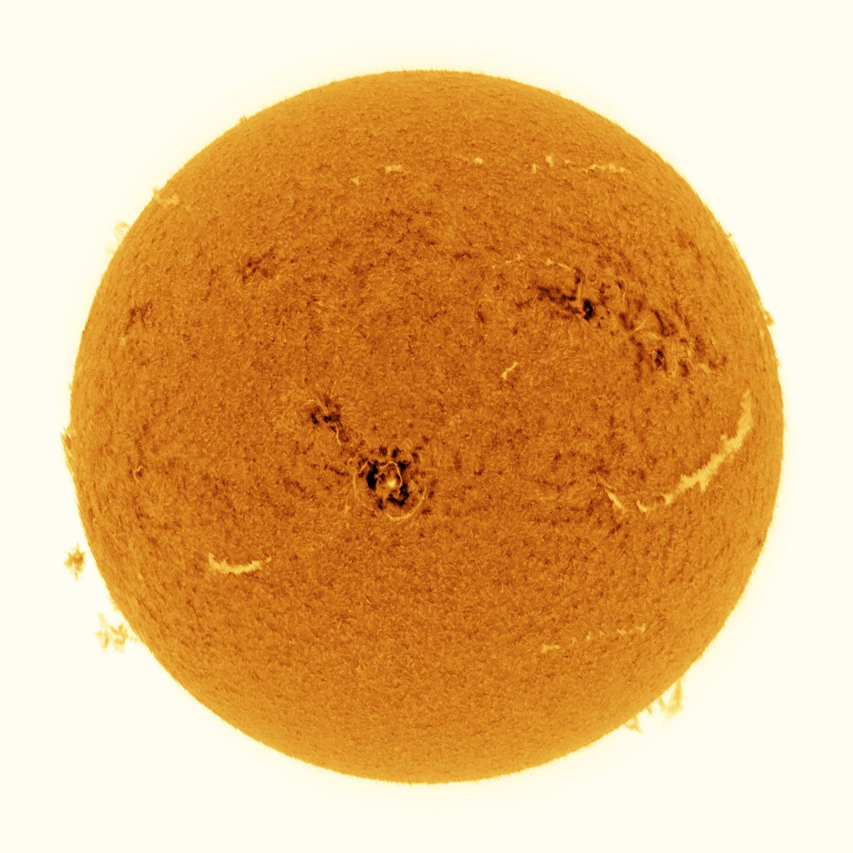 Mario 🪐🌒🌞🌌🔭🐸 tweet media