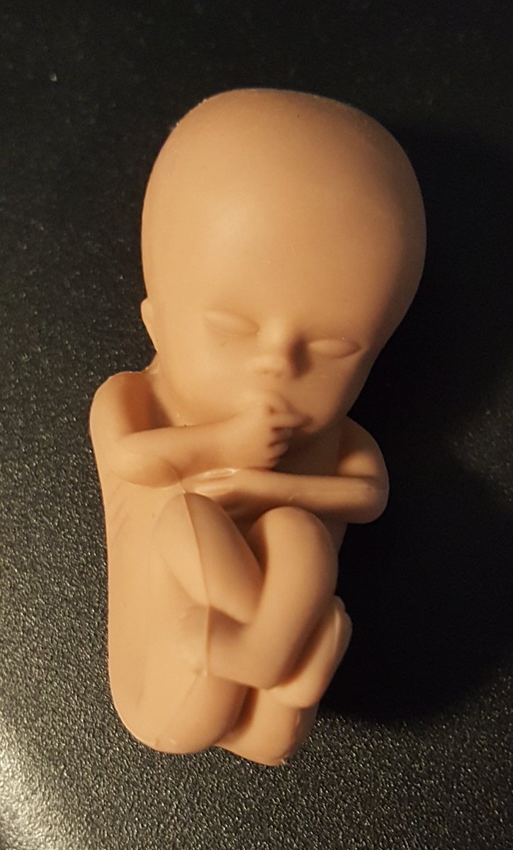 Good Counsel Network tweet media