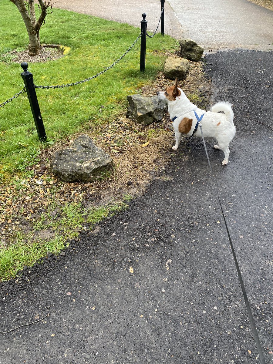 Maggie Jones ⚡️ tweet media