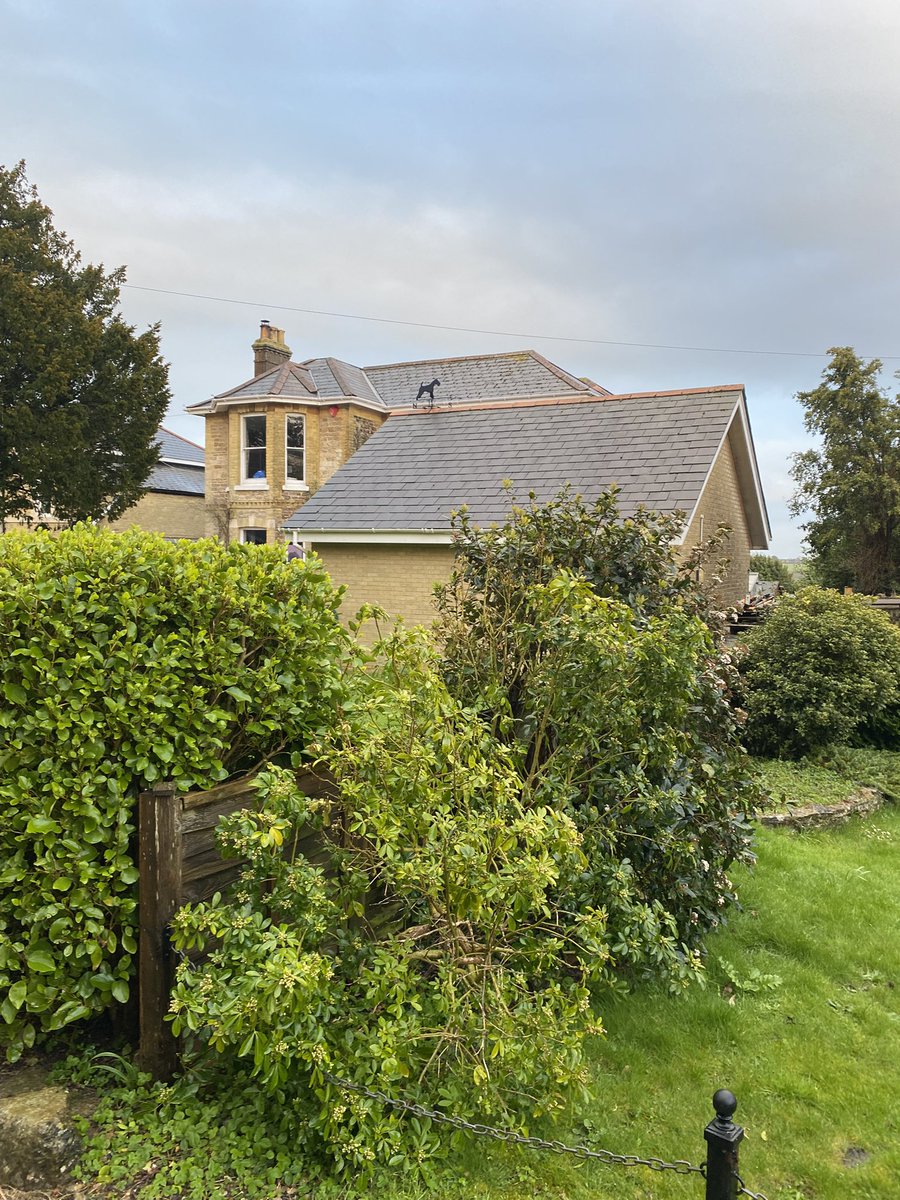 Maggie Jones ⚡️ tweet media