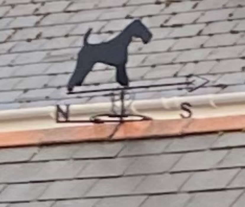 Maggie Jones ⚡️ tweet media