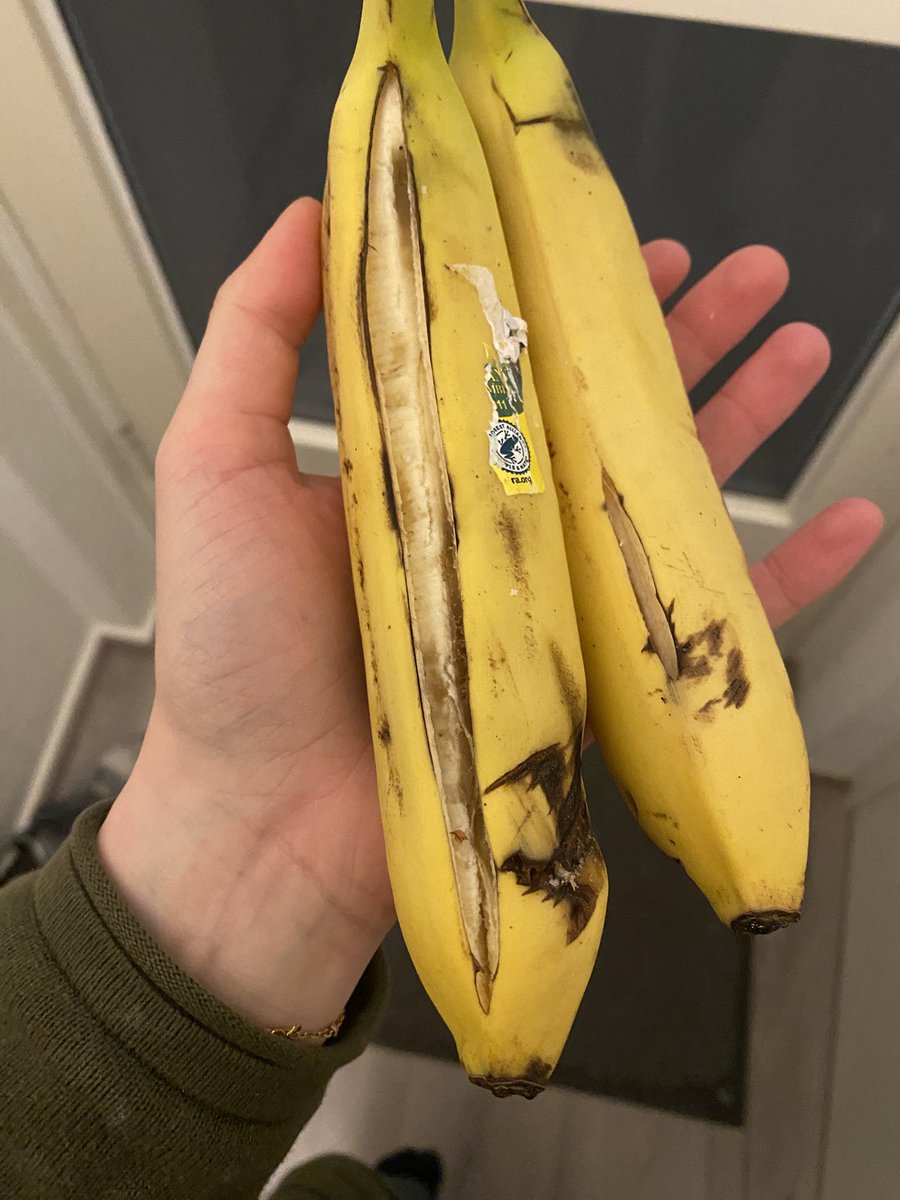 Lyn- shedtwt tweet media