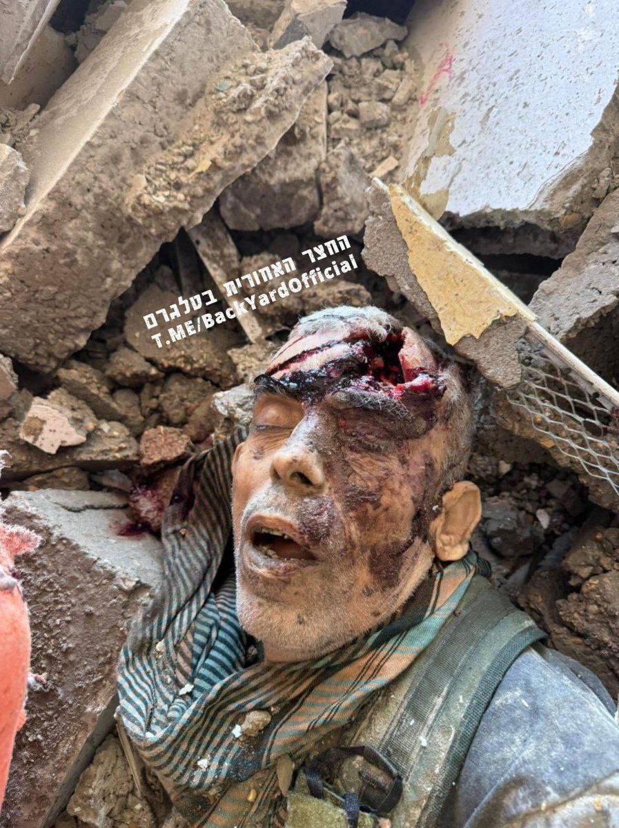 Mevashel tweet media