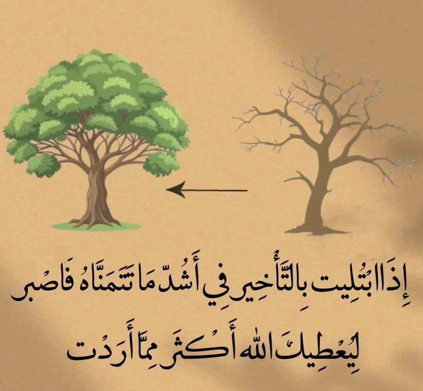 حكمة وقصة/أ.سوسن حمّادي (@sawsanhammady) on Twitter photo 