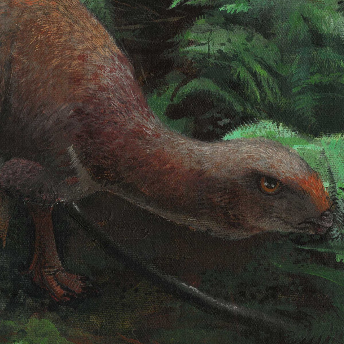 Mauricio tweet media