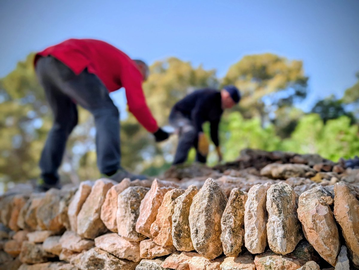 camins_de's tweet photo. La gent de la meva terra conserva les tècniques constructives de les generacions que ens han precedit.
Més enllà de parlar d'arquitectura popular, de vegades a aquests mestres artesans de la #pedraseca els hauríem de qualificar d'artistes.
#baixpenedes #patrimoni https://t.co/CHzjlYuqx9