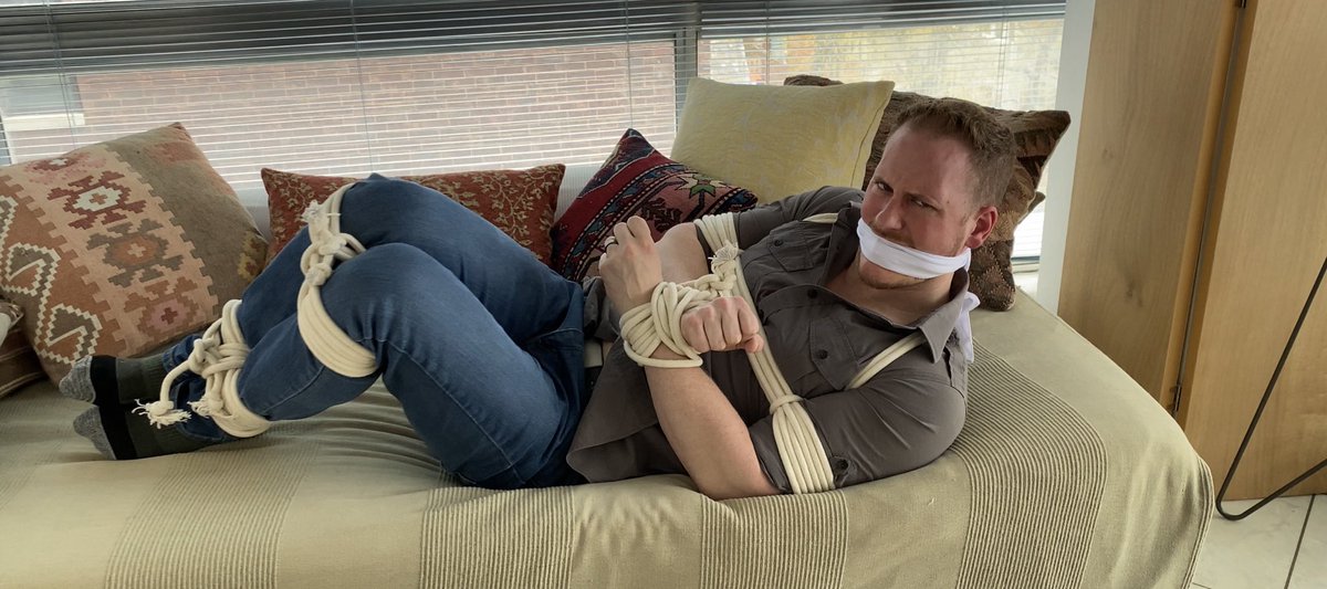 Taylor Bound tweet media