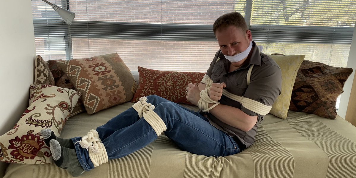 Taylor Bound tweet media