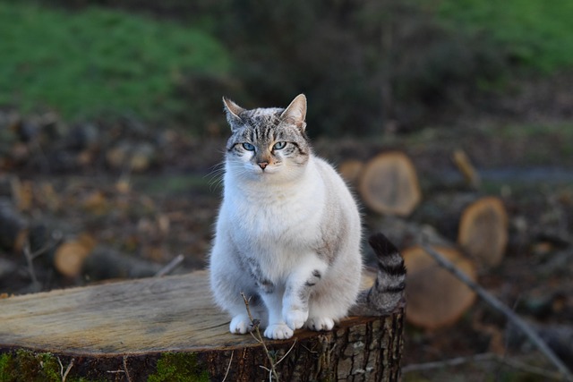 Mandy Martinez tweet media