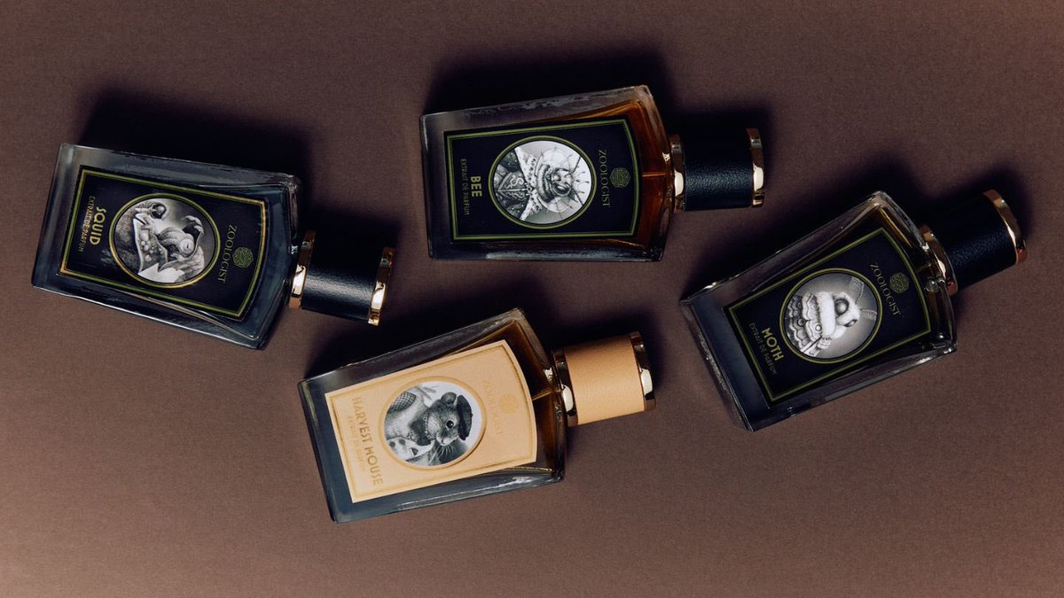 AL-Hosni101 tweet media