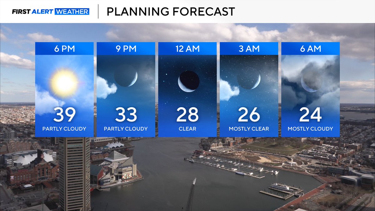 Cutter Martin tweet media