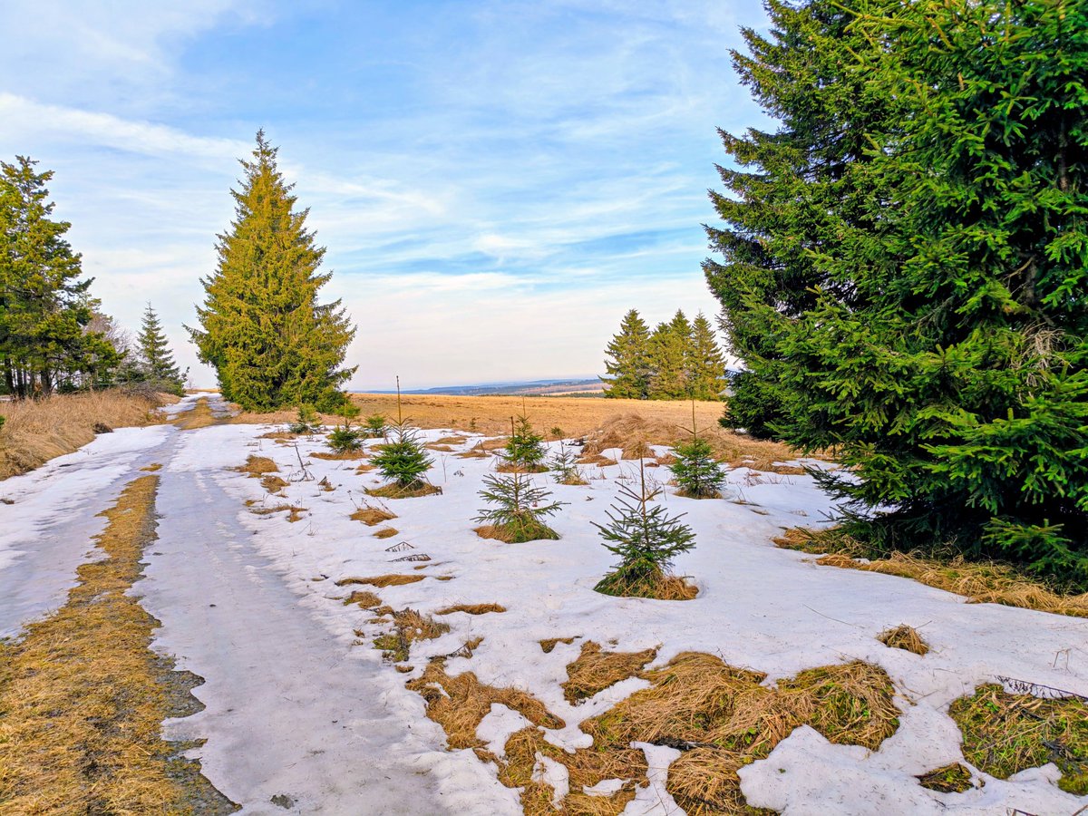 Rico Oelmann tweet media