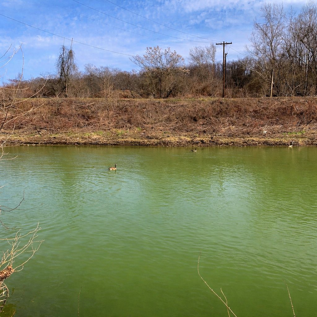 Fake KDKA News tweet media