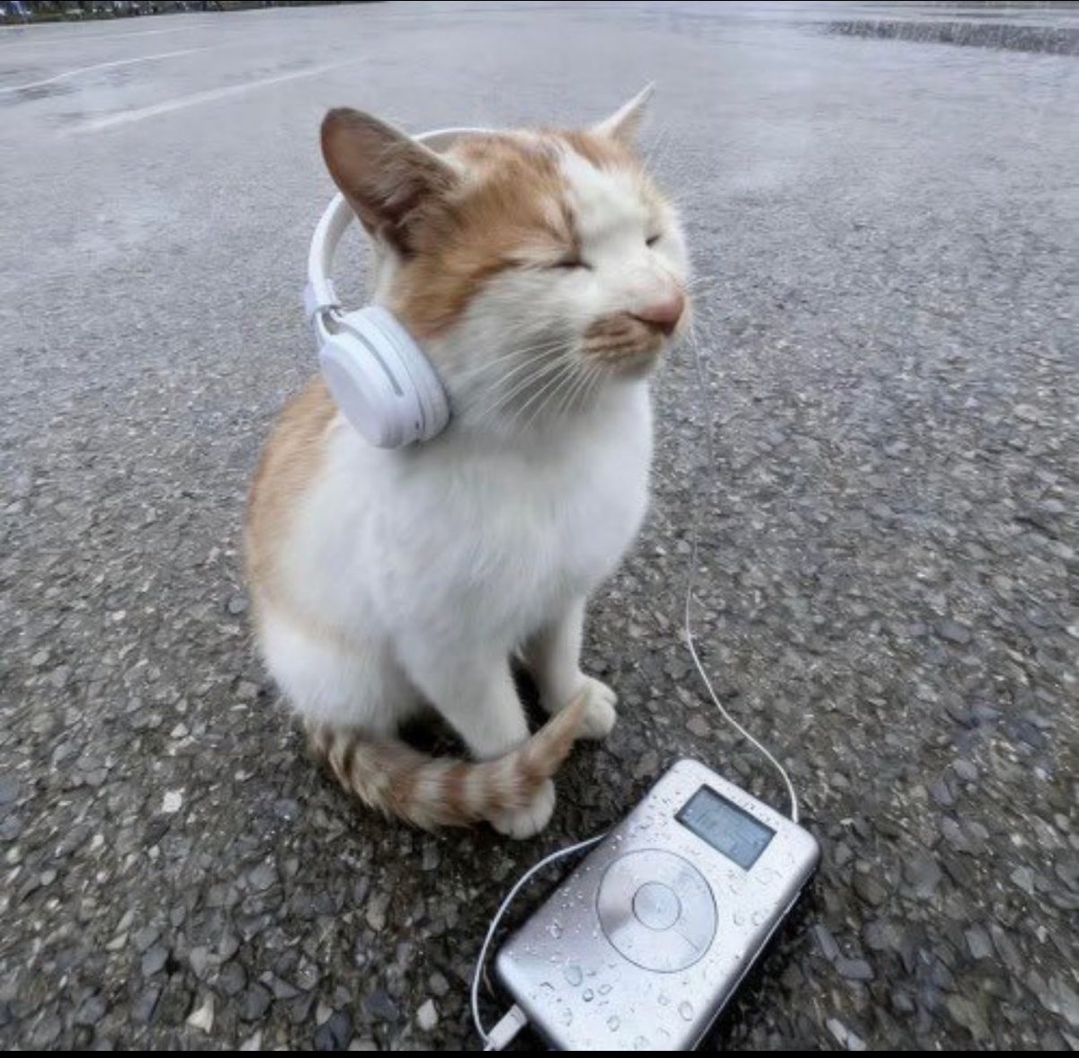 timeless ⌛️ tweet media