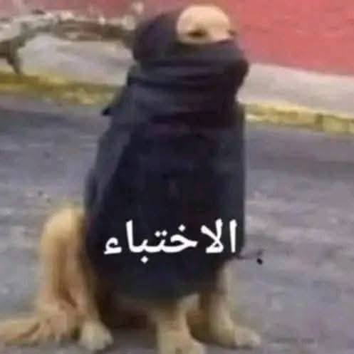 عمرو tweet media