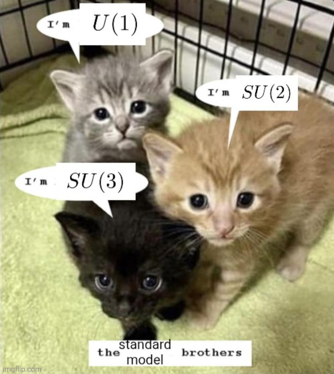 ThePhysicsMemes's tweet image. I love groups #calculus