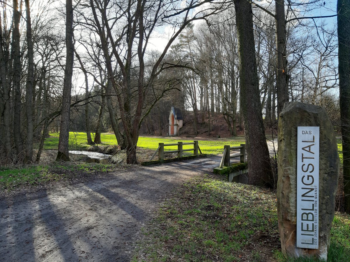 Lieber Scholli tweet media