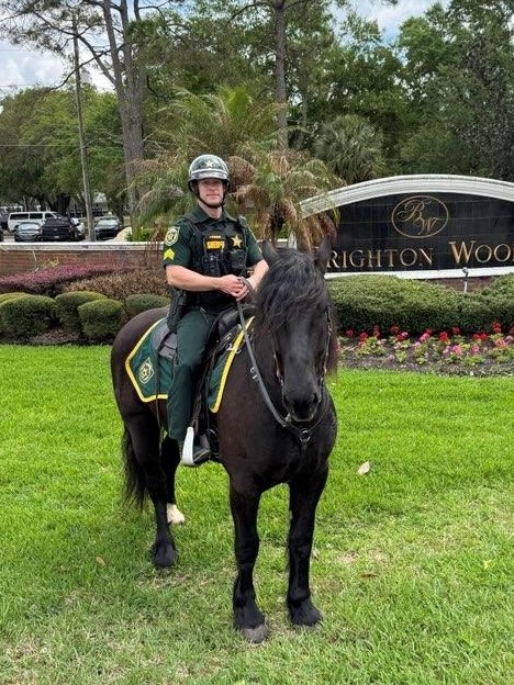 Orange County Sheriff's Office tweet media