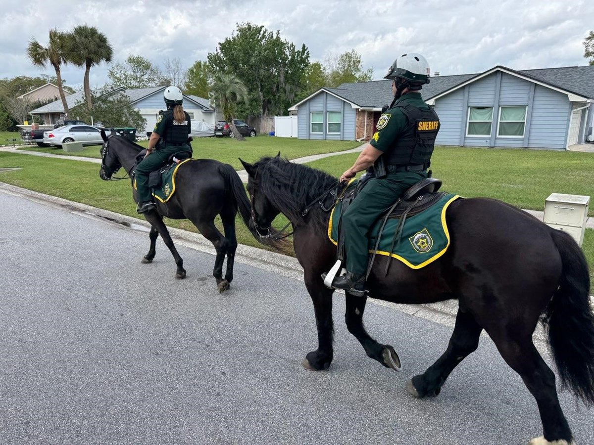 Orange County Sheriff's Office tweet media