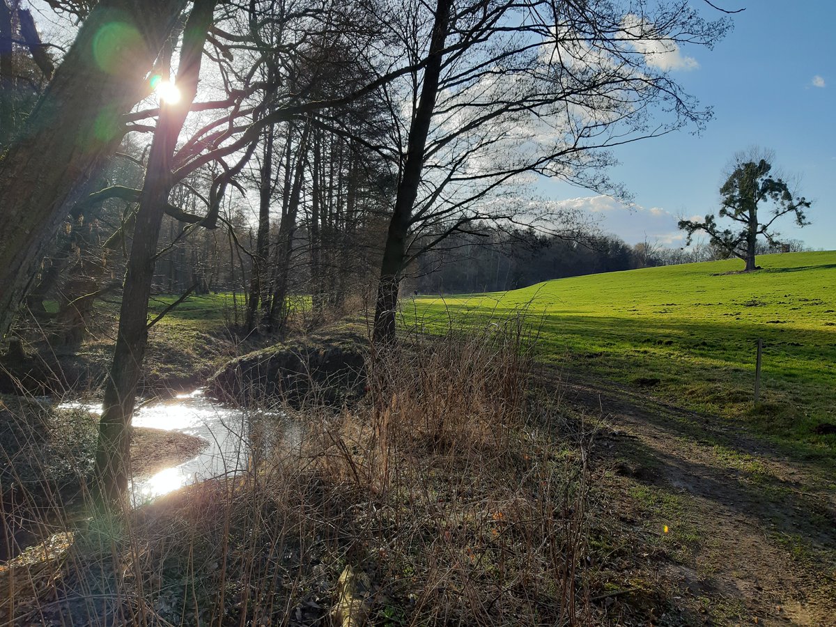 Lieber Scholli tweet media