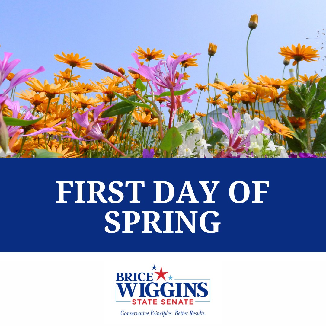 Sen. Brice Wiggins tweet media