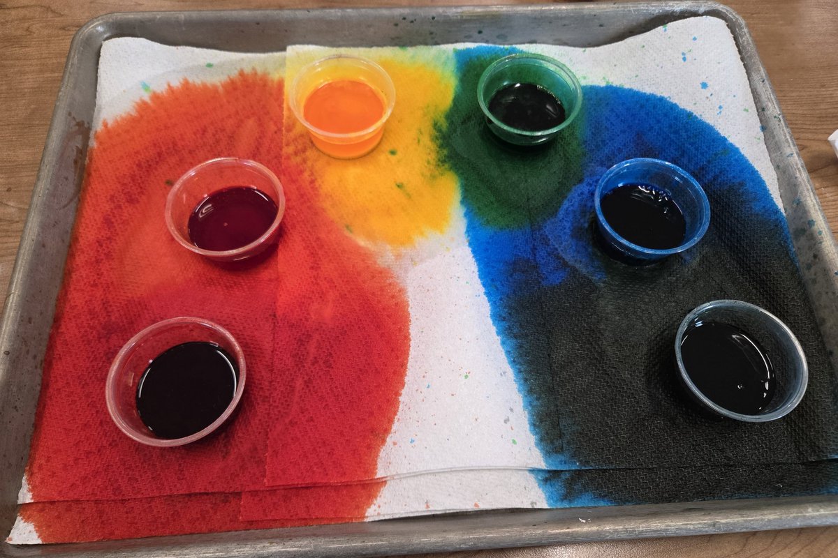 Katie (Mrs. B 🐝) tweet media