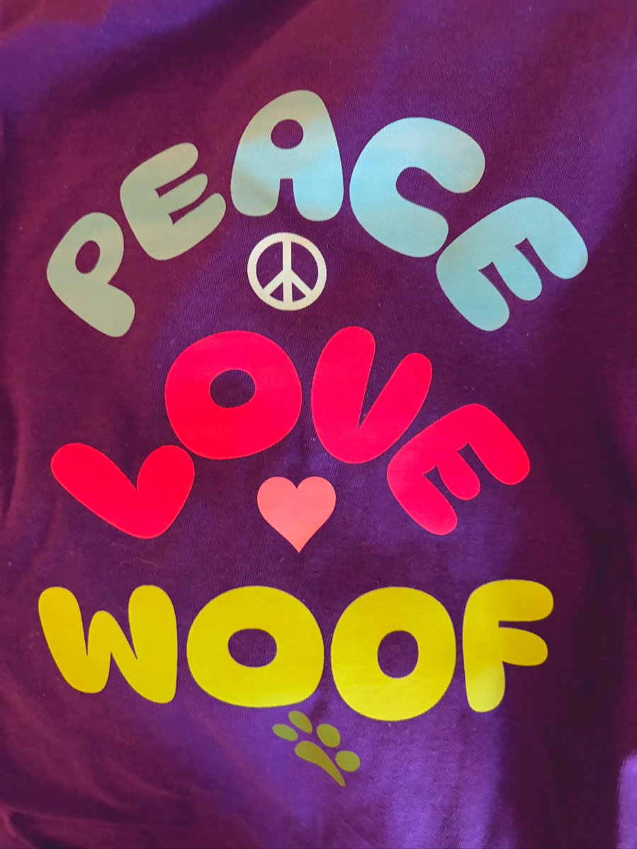 Lily, Annie, Angels Spencer, LuLu, & Tanner! tweet media