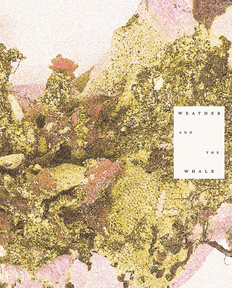 U of MN Press tweet media