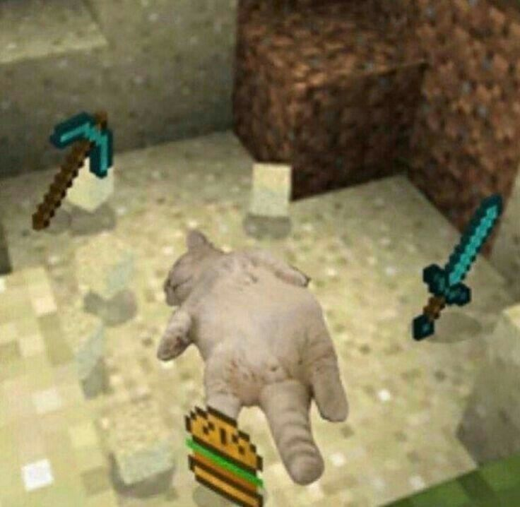 ♫ Seikyf 💫 tweet media