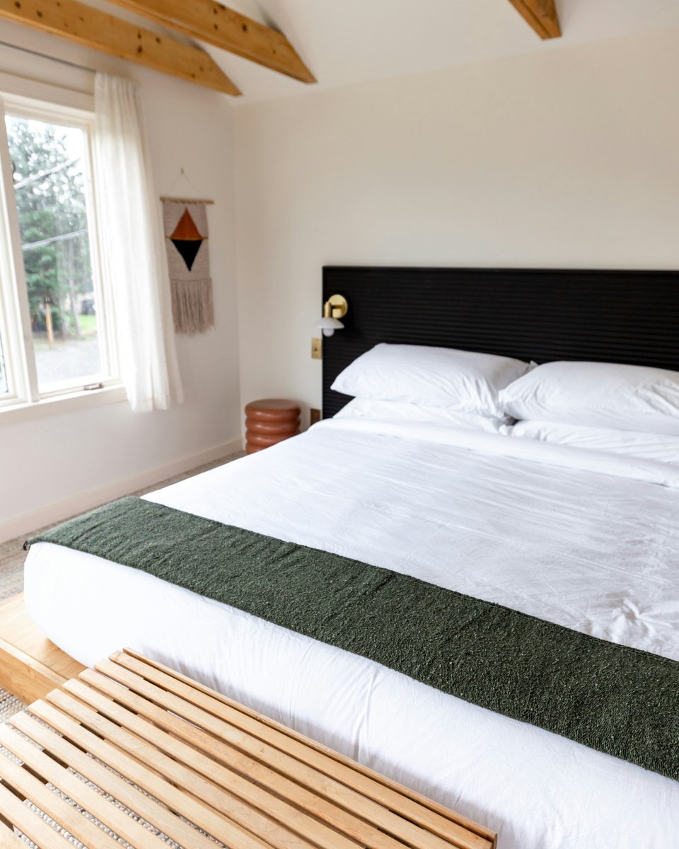 BedInABox.com tweet media