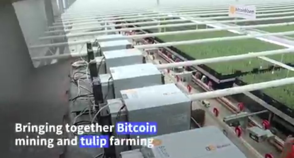 Florian Ederer tweet media