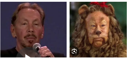 Wendy Wills tweet media