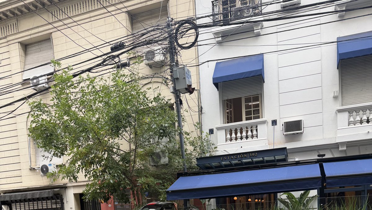 Magalí González tweet media