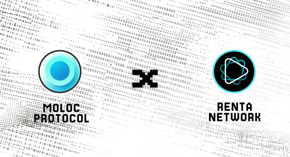 moloc.store (TGE soon🚀) tweet media