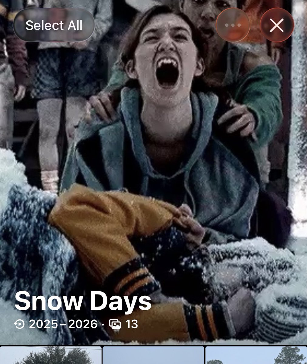 ally 🥀 tweet media