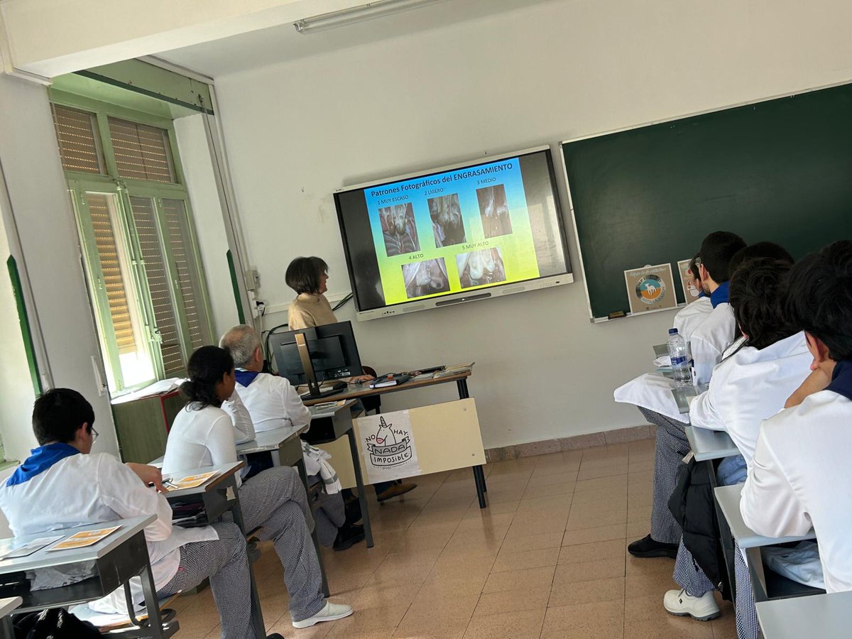 CIFP La Merced tweet media